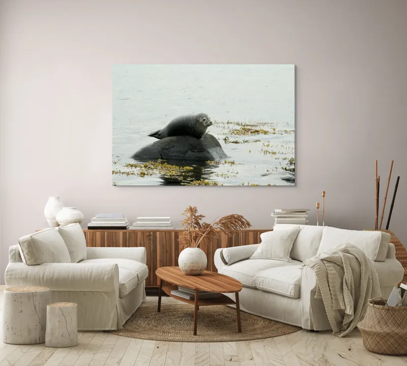 Tablou Canvas, "Foca odihnindu-se pe stâncă мокрая", Focă, Piatră, Apă, Alge, Cer, Ocean, Natură, Relaxează, Observă, Odihnă, 150 x 100 cm – poza 3