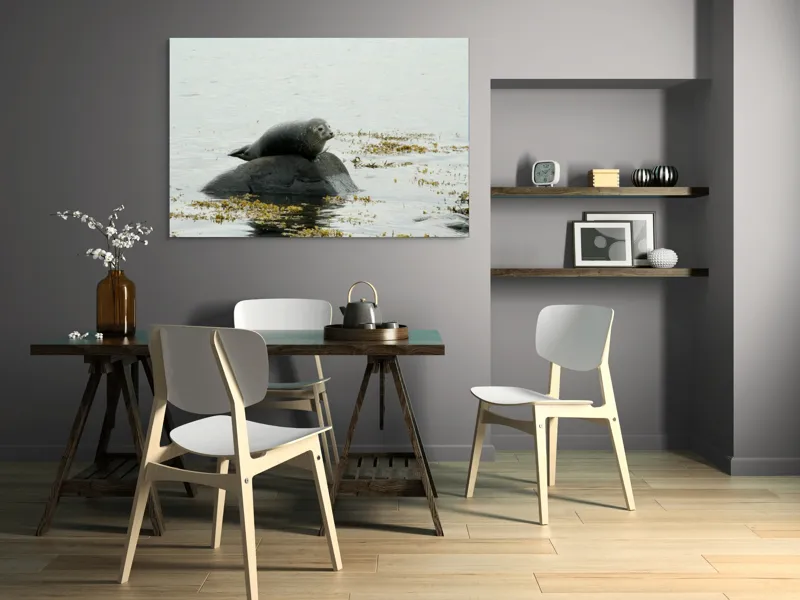 Tablou Canvas, "Foca odihnindu-se pe stâncă мокрая", Focă, Piatră, Apă, Alge, Cer, Ocean, Natură, Relaxează, Observă, Odihnă, 150 x 100 cm – poza 5
