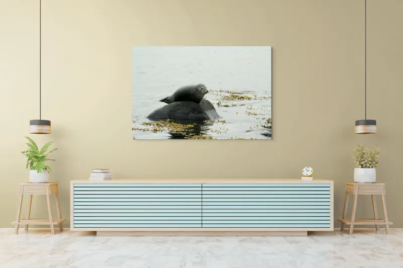 Tablou Canvas, "Foca odihnindu-se pe stâncă мокрая", Focă, Piatră, Apă, Alge, Cer, Ocean, Natură, Relaxează, Observă, Odihnă, 150 x 100 cm – poza 6