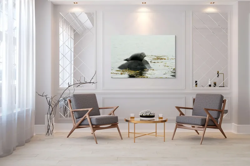 Tablou Canvas, "Foca odihnindu-se pe stâncă мокрая", Focă, Piatră, Apă, Alge, Cer, Ocean, Natură, Relaxează, Observă, Odihnă, 150 x 100 cm – poza 7