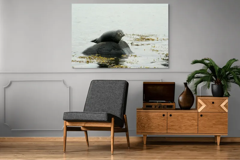 Tablou Canvas, "Foca odihnindu-se pe stâncă мокрая", Focă, Piatră, Apă, Alge, Cer, Ocean, Natură, Relaxează, Observă, Odihnă, 150 x 100 cm – poza 8