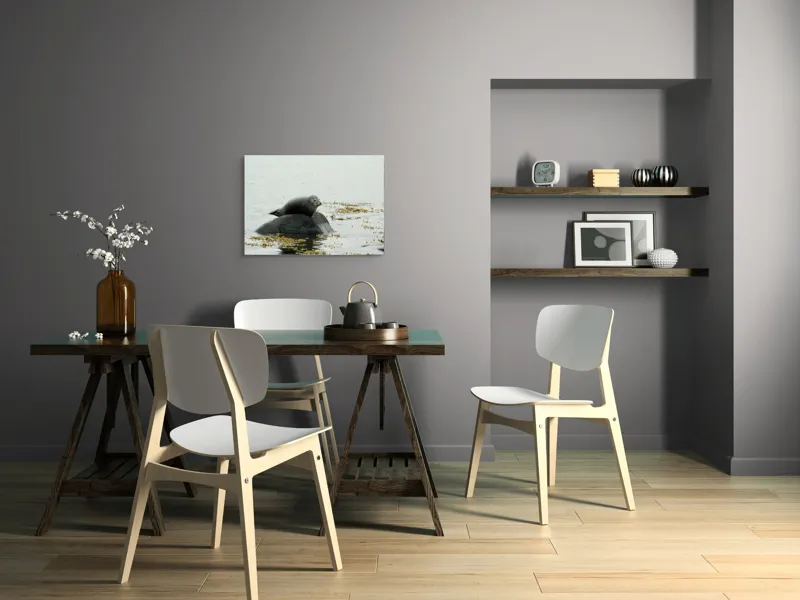 Tablou Canvas, "Foca odihnindu-se pe stâncă мокрая", Focă, Piatră, Apă, Alge, Cer, Ocean, Natură, Relaxează, Observă, Odihnă, 70 x 50 cm – poza 5