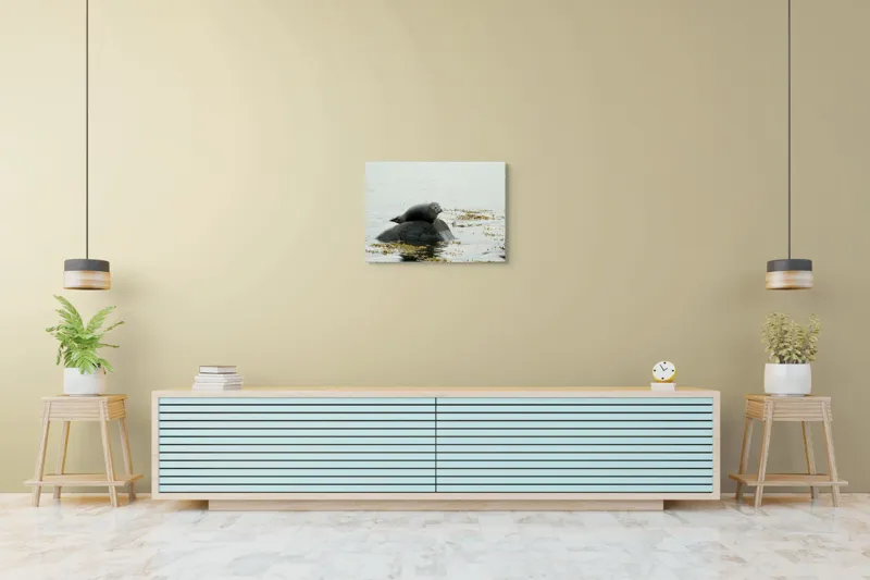Tablou Canvas, "Foca odihnindu-se pe stâncă мокрая", Focă, Piatră, Apă, Alge, Cer, Ocean, Natură, Relaxează, Observă, Odihnă, 70 x 50 cm – poza 7