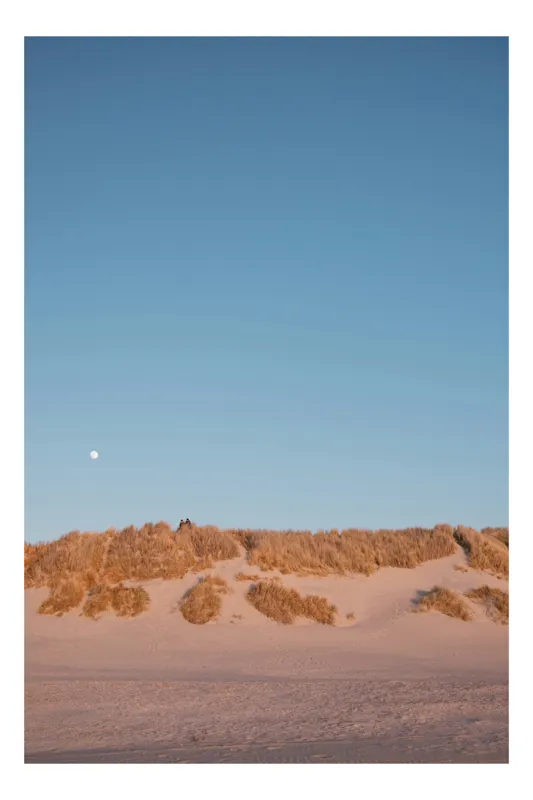 Tablou Canvas, "Dune de nisip sub clar de lună", Lună, Dune, Cer, Nisip, Orizont, Vegetație, Apus, Tranquilitate, 39 x 54 cm
