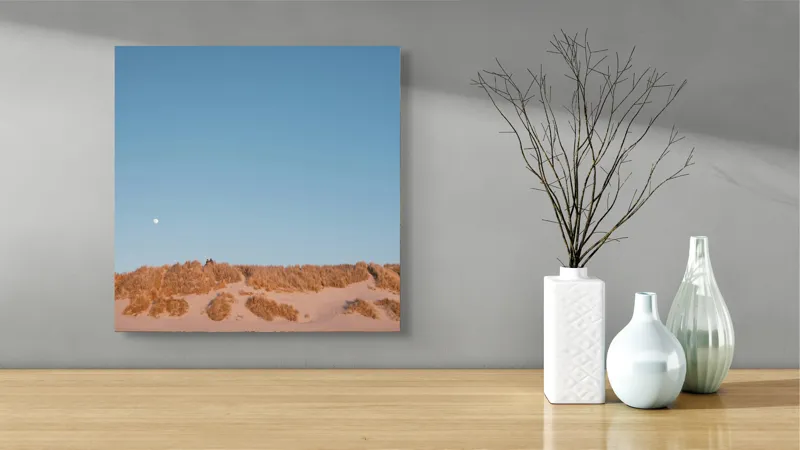 Tablou Canvas, "Dune de nisip sub clar de lună", Lună, Dune, Cer, Nisip, Orizont, Vegetație, Apus, Tranquilitate, 50 x 50 cm – poza 3