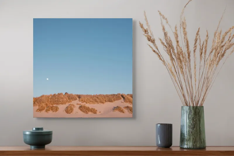 Tablou Canvas, "Dune de nisip sub clar de lună", Lună, Dune, Cer, Nisip, Orizont, Vegetație, Apus, Tranquilitate, 50 x 50 cm – poza 4