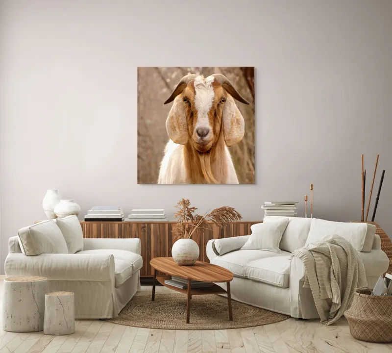 Tablou Canvas, "Capra în pădurea de toamnă liniștită", Nu știu cine este în imagine., 100 x 100 cm – poza 3