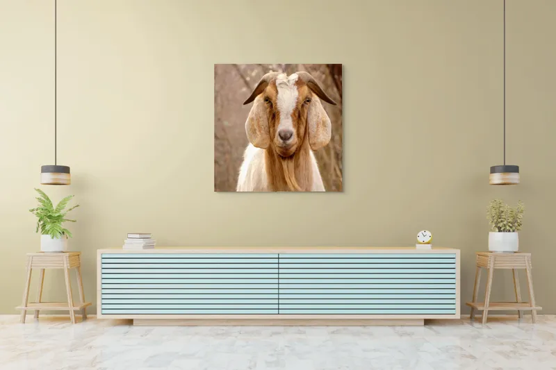 Tablou Canvas, "Capra în pădurea de toamnă liniștită", Nu știu cine este în imagine., 100 x 100 cm – poza 5