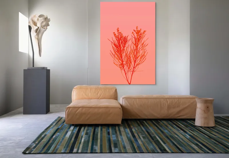 Tablou Canvas, "Ritm vegetal pe fundal roz", Ramură, Roșu, Minimalism, Natură, Simplu, Frumusețe, 100 x 150 cm – poza 7