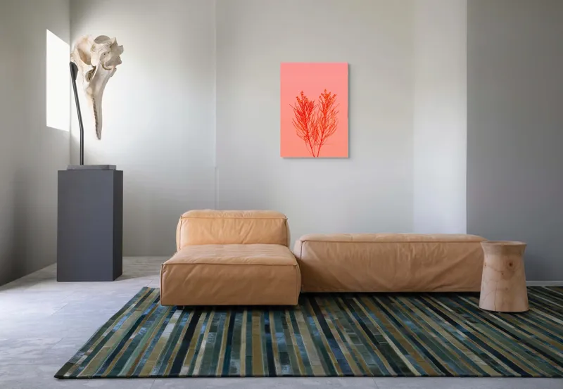Tablou Canvas, "Ritm vegetal pe fundal roz", Ramură, Roșu, Minimalism, Natură, Simplu, Frumusețe, 50 x 70 cm – poza 7