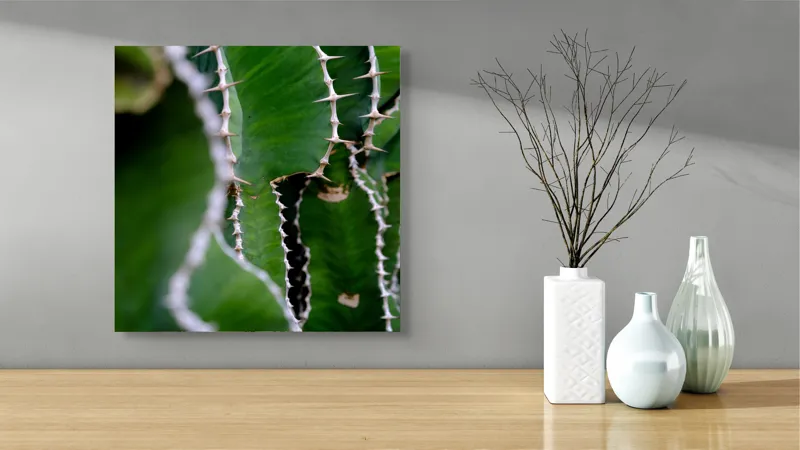 Tablou Canvas, "Urmând conturul ascuțit al naturii", Verde, Textură, Spin, Unduire, Natură, Cactus, Detaliu, Organic, 50 x 50 cm – poza 3
