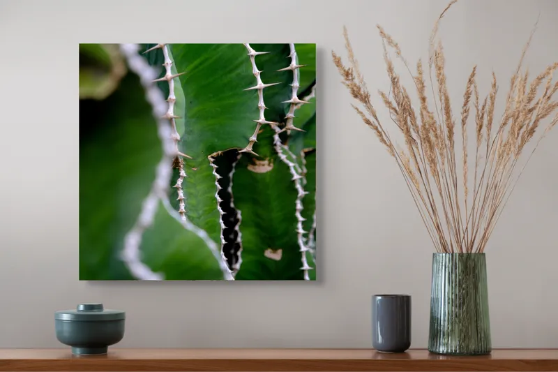 Tablou Canvas, "Urmând conturul ascuțit al naturii", Verde, Textură, Spin, Unduire, Natură, Cactus, Detaliu, Organic, 50 x 50 cm – poza 4