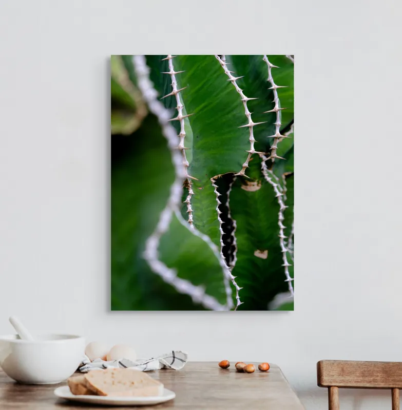 Tablou Canvas, "Urmând conturul ascuțit al naturii", Verde, Textură, Spin, Unduire, Natură, Cactus, Detaliu, Organic, 50 x 70 cm – poza 3