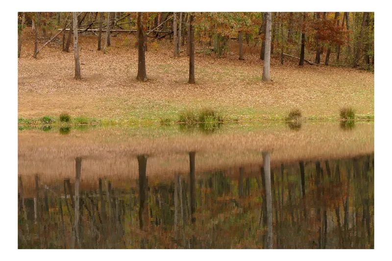 Tablou Canvas, "Reflecțiile pădurii în apa calmă", Reflecție, Toamnă, Liniște, Natură, Pădure, Lac, Frunze, 70 x 50 cm