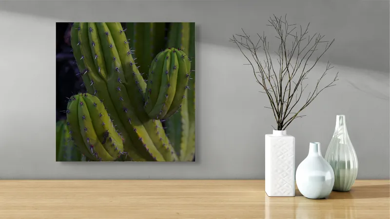 Tablou Canvas, "Cactusul străjer al deșertului verde", Verde, Cactus, Spini, Natură, Textură, 50 x 50 cm – poza 3