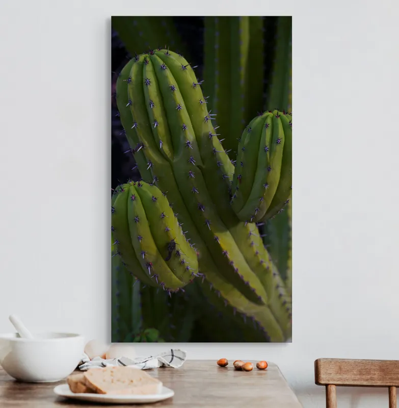 Tablou Canvas, "Cactusul străjer al deșertului verde", Verde, Cactus, Spini, Natură, Textură, 50 x 90 cm – poza 3