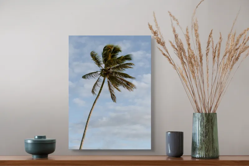 Tablou Canvas, "Palmier în adierea vântului tropical", Palmier, Albastru, Nori, Vânt, Seară, 39 x 54 cm – poza 3