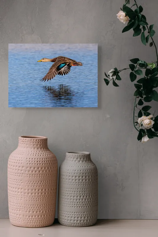 Tablou Canvas, "Rață zburând deasupra apei albastre", Pasare, Apa, Aripi, Zbor, Reflectie, Penaj, Cer, Albastru, Natura, Libertate, 54 x 39 cm – poza 8