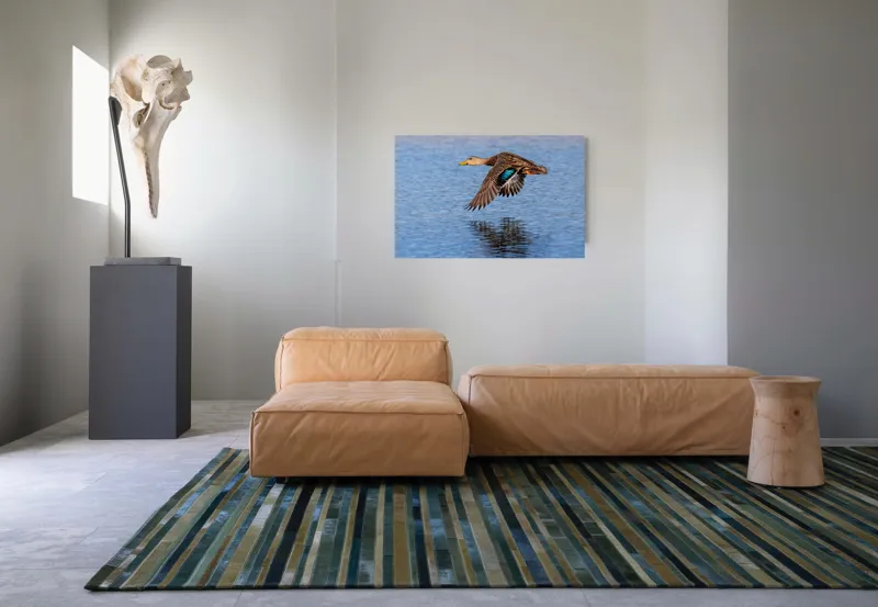 Tablou Canvas, "Rață zburând deasupra apei albastre", Pasare, Apa, Aripi, Zbor, Reflectie, Penaj, Cer, Albastru, Natura, Libertate, 90 x 50 cm – poza 8