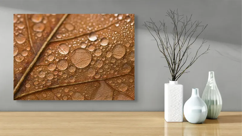 Tablou Canvas, "Picături de rouă pe frunză toamna", Picături, Frunză, Ruginie, Textură, Natură, Aproape, Detaliu, Toamnă, 70 x 50 cm – poza 3