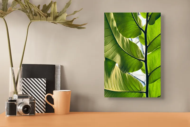 Tablou Canvas, "Frumusețea verde a naturii tropicale", Verde, Frunzos, Natură, Lumină, Umbre, Detalii, Textură, Vibrant, Frumusețe, Vegetație, 26 x 39 cm – poza 3