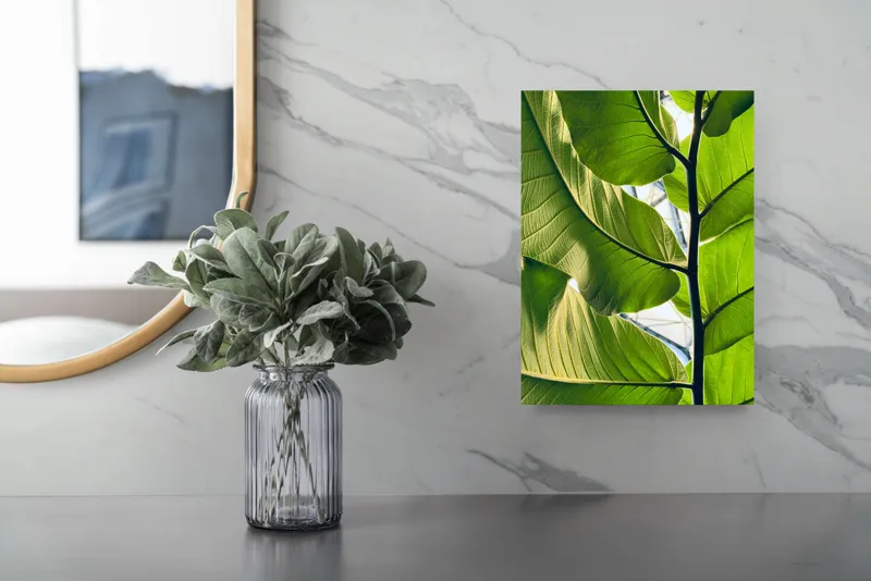 Tablou Canvas, "Frumusețea verde a naturii tropicale", Verde, Frunzos, Natură, Lumină, Umbre, Detalii, Textură, Vibrant, Frumusețe, Vegetație, 26 x 39 cm – poza 4