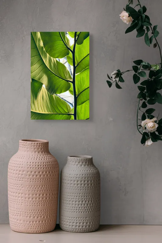Tablou Canvas, "Frumusețea verde a naturii tropicale", Verde, Frunzos, Natură, Lumină, Umbre, Detalii, Textură, Vibrant, Frumusețe, Vegetație, 26 x 39 cm – poza 6