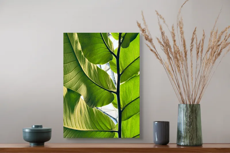 Tablou Canvas, "Frumusețea verde a naturii tropicale", Verde, Frunzos, Natură, Lumină, Umbre, Detalii, Textură, Vibrant, Frumusețe, Vegetație, 39 x 54 cm – poza 3