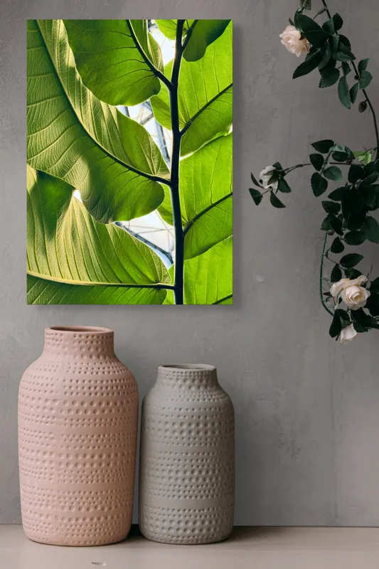 Tablou Canvas, "Frumusețea verde a naturii tropicale", Verde, Frunzos, Natură, Lumină, Umbre, Detalii, Textură, Vibrant, Frumusețe, Vegetație, 39 x 54 cm – poza 6