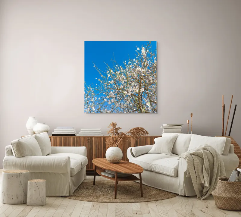 Tablou Canvas, "Pom înflorit sub cer senin", Floare, Cer, Albastru, Crenguțe, Primăvară, Alb, Natură, Frumusețe, Delicat, Arbore, 100 x 100 cm – poza 3