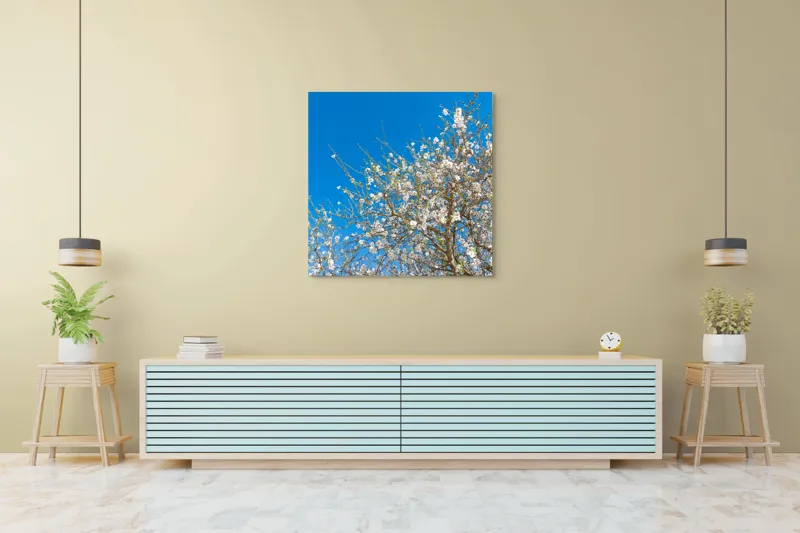Tablou Canvas, "Pom înflorit sub cer senin", Floare, Cer, Albastru, Crenguțe, Primăvară, Alb, Natură, Frumusețe, Delicat, Arbore, 100 x 100 cm – poza 5