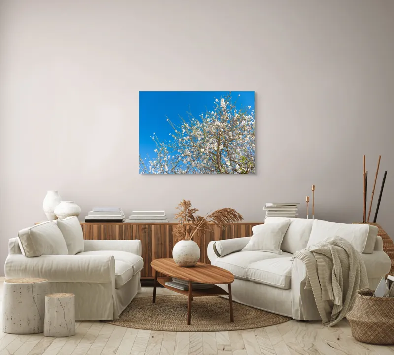 Tablou Canvas, "Pom înflorit sub cer senin", Floare, Cer, Albastru, Crenguțe, Primăvară, Alb, Natură, Frumusețe, Delicat, Arbore, 100 x 70 cm – poza 3