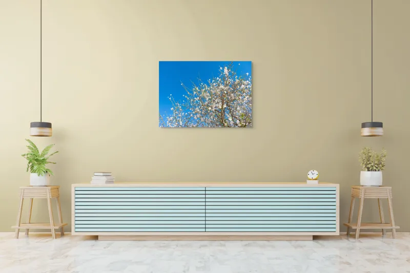 Tablou Canvas, "Pom înflorit sub cer senin", Floare, Cer, Albastru, Crenguțe, Primăvară, Alb, Natură, Frumusețe, Delicat, Arbore, 100 x 70 cm – poza 4