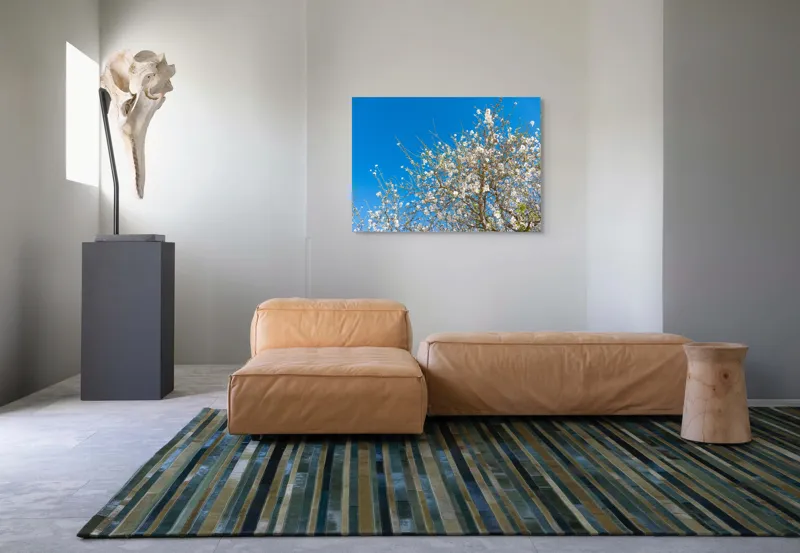 Tablou Canvas, "Pom înflorit sub cer senin", Floare, Cer, Albastru, Crenguțe, Primăvară, Alb, Natură, Frumusețe, Delicat, Arbore, 100 x 70 cm – poza 7