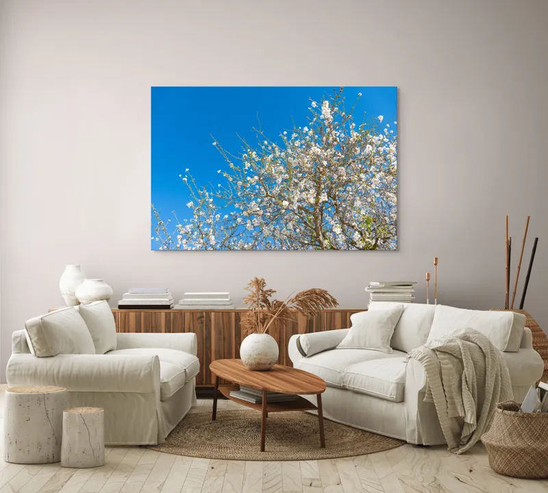 Tablou Canvas, "Pom înflorit sub cer senin", Floare, Cer, Albastru, Crenguțe, Primăvară, Alb, Natură, Frumusețe, Delicat, Arbore, 150 x 100 cm – poza 3
