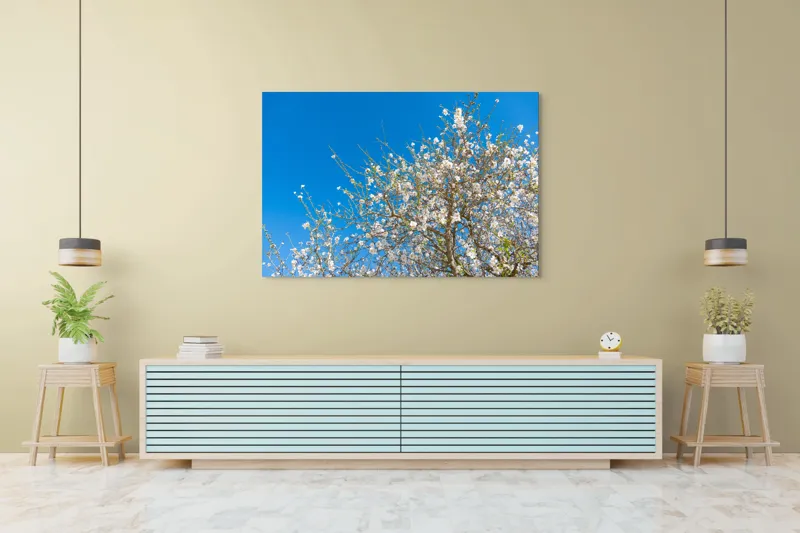 Tablou Canvas, "Pom înflorit sub cer senin", Floare, Cer, Albastru, Crenguțe, Primăvară, Alb, Natură, Frumusețe, Delicat, Arbore, 150 x 100 cm – poza 6