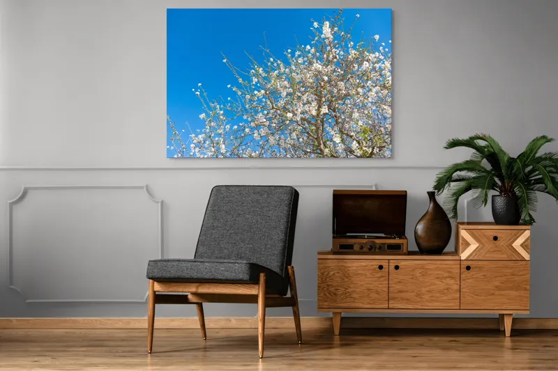 Tablou Canvas, "Pom înflorit sub cer senin", Floare, Cer, Albastru, Crenguțe, Primăvară, Alb, Natură, Frumusețe, Delicat, Arbore, 150 x 100 cm – poza 8