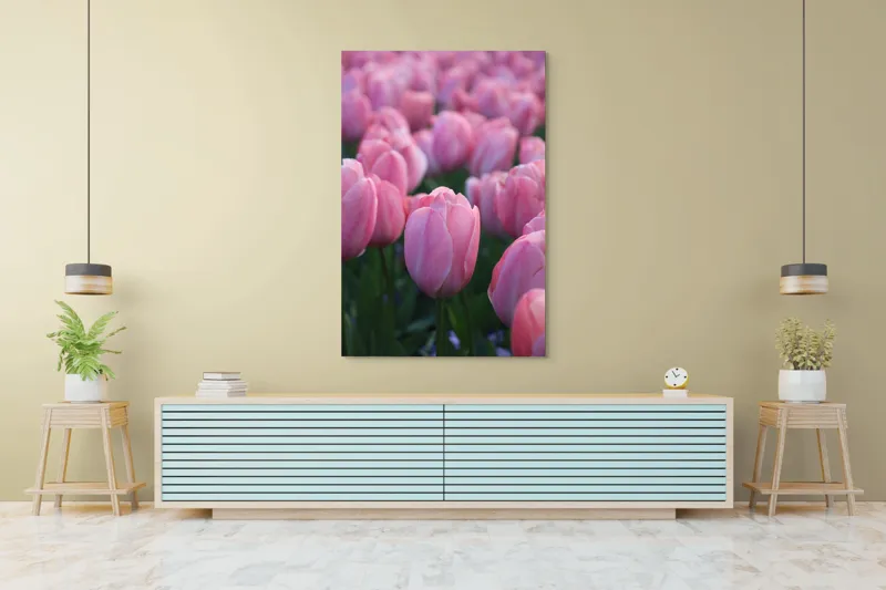 Tablou Canvas, "Câmp întins de lalele rozalii", Roz, Delicate, Grădină, Primăvară, Florale, 100 x 150 cm – poza 4