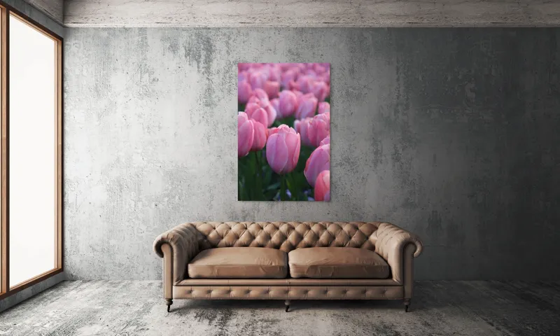 Tablou Canvas, "Câmp întins de lalele rozalii", Roz, Delicate, Grădină, Primăvară, Florale, 100 x 150 cm – poza 6