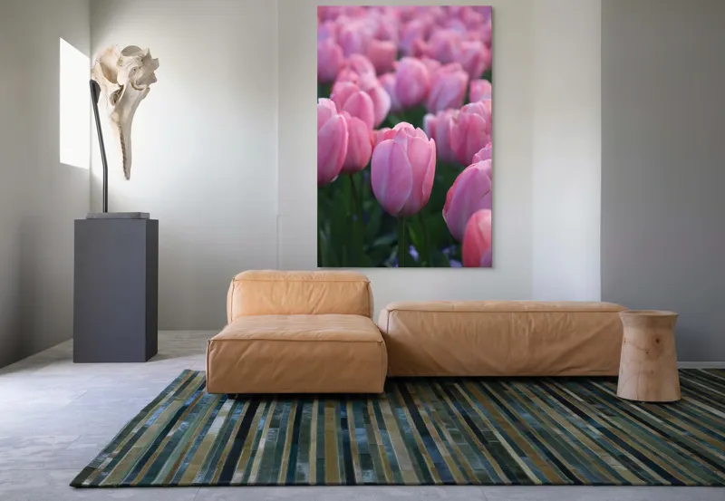 Tablou Canvas, "Câmp întins de lalele rozalii", Roz, Delicate, Grădină, Primăvară, Florale, 100 x 150 cm – poza 7
