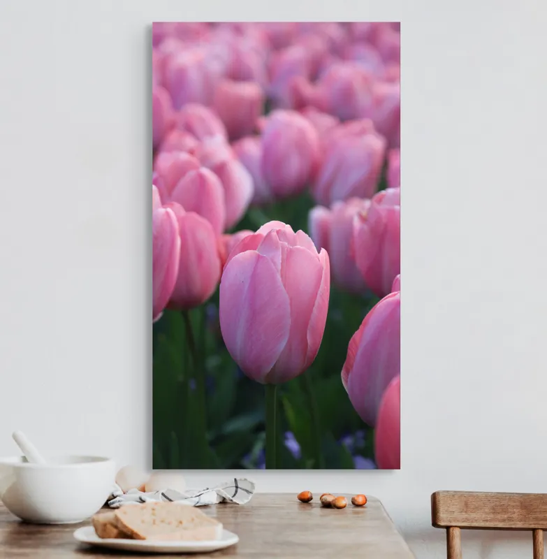 Tablou Canvas, "Câmp întins de lalele rozalii", Roz, Delicate, Grădină, Primăvară, Florale, 50 x 90 cm – poza 3