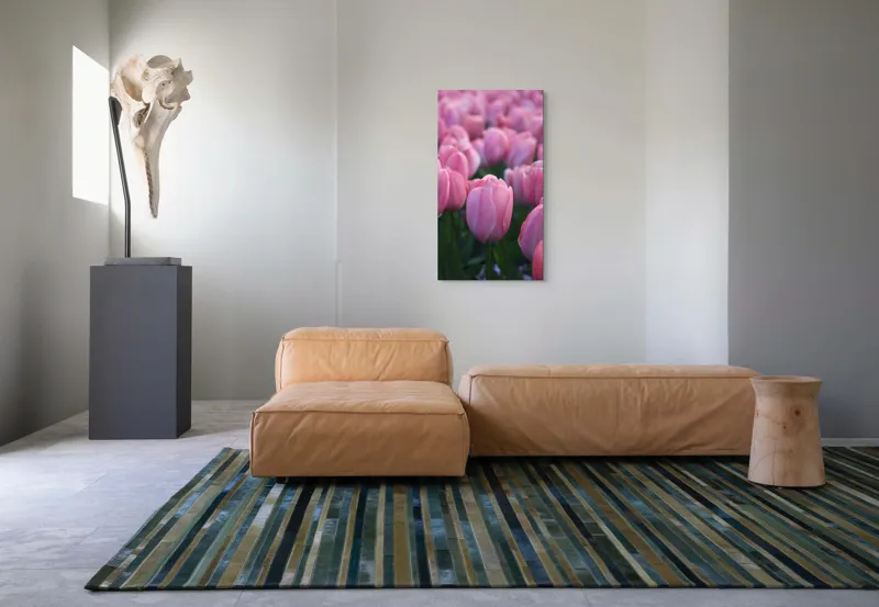 Tablou Canvas, "Câmp întins de lalele rozalii", Roz, Delicate, Grădină, Primăvară, Florale, 50 x 90 cm – poza 5