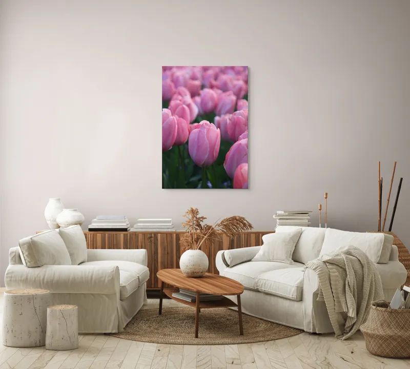 Tablou Canvas, "Câmp întins de lalele rozalii", Roz, Delicate, Grădină, Primăvară, Florale, 70 x 100 cm – poza 4