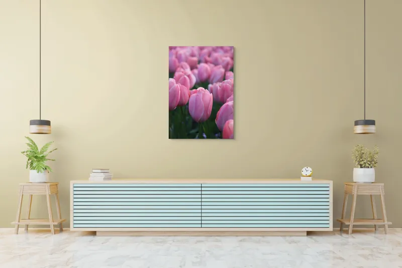 Tablou Canvas, "Câmp întins de lalele rozalii", Roz, Delicate, Grădină, Primăvară, Florale, 70 x 100 cm – poza 5