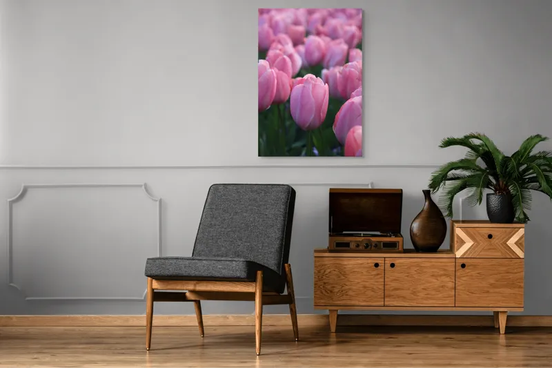 Tablou Canvas, "Câmp întins de lalele rozalii", Roz, Delicate, Grădină, Primăvară, Florale, 70 x 100 cm – poza 6