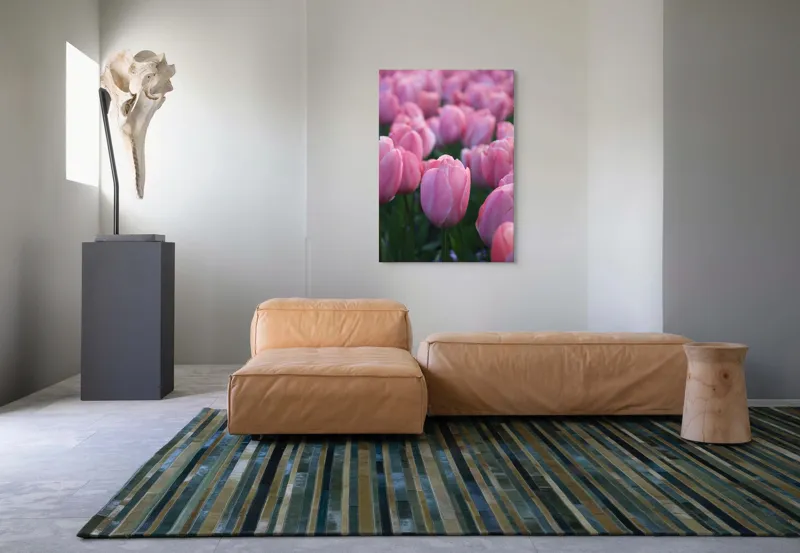 Tablou Canvas, "Câmp întins de lalele rozalii", Roz, Delicate, Grădină, Primăvară, Florale, 70 x 100 cm – poza 7
