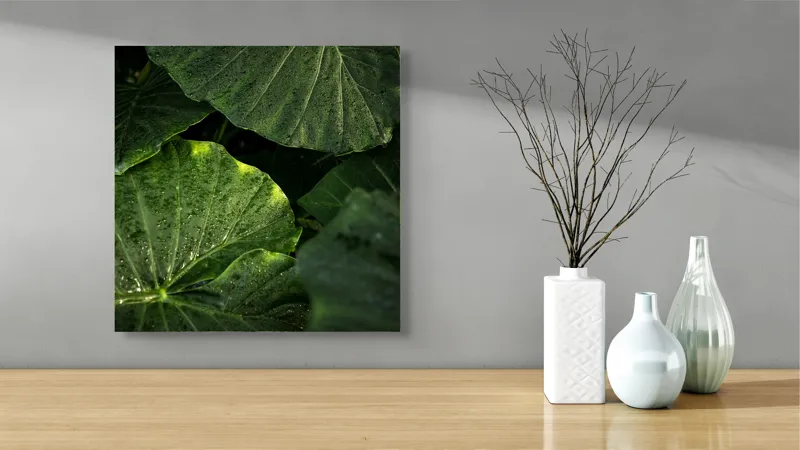 Tablou Canvas, "Frunzele strălucitoare după ploaie", Verde, Frunză, Plante, Natură, Rouă, Textură, 50 x 50 cm – poza 3