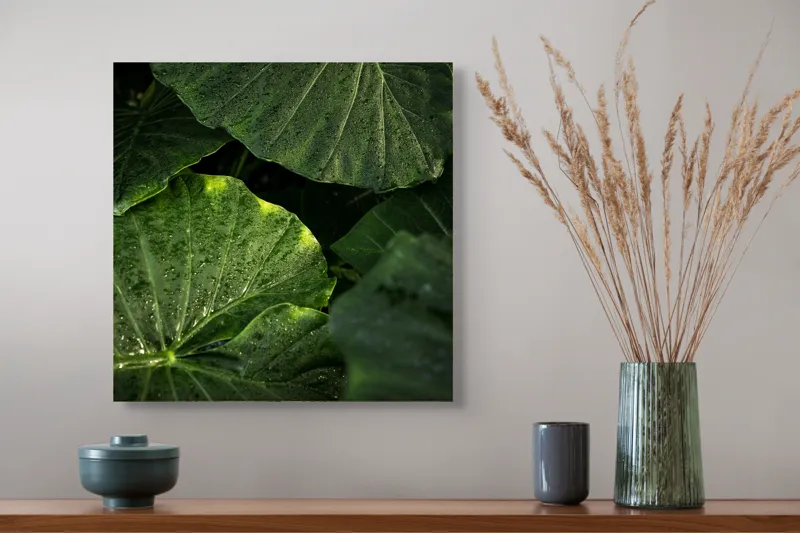 Tablou Canvas, "Frunzele strălucitoare după ploaie", Verde, Frunză, Plante, Natură, Rouă, Textură, 50 x 50 cm – poza 4