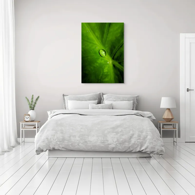 Tablou Canvas, "Picătura de rouă pe frunză verde", Frunză, Picătură, Verde, Textură, Natură, 70 x 100 cm – poza 3