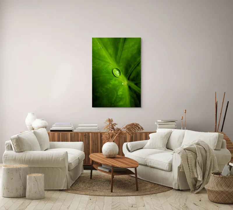 Tablou Canvas, "Picătura de rouă pe frunză verde", Frunză, Picătură, Verde, Textură, Natură, 70 x 100 cm – poza 4